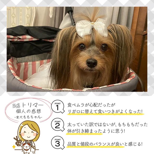 リガロ ハイプロテインレシピ 7歳以上用 ターキー 5.8kgの通販は