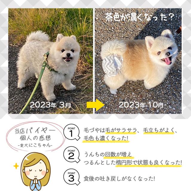 リガロ ハイプロテインレシピ 子犬・成犬用 ターキー 3.6kg_1
