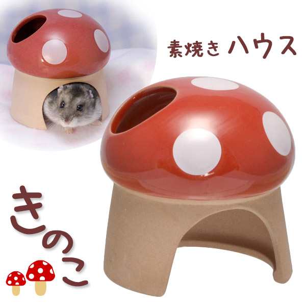 三晃商会 素焼き ハウス きのこ 小動物 ハムスター ハウス 陶器 おもちゃの通販はau Pay マーケット ペッツビレッジクロス