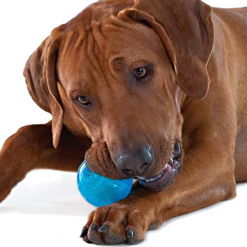 ペットステージ Petstages オルカ テニスボール 犬のおもちゃ 犬用おもちゃ ボール ラバートーイ 合成ゴム の通販はau Pay マーケット ペッツビレッジクロス