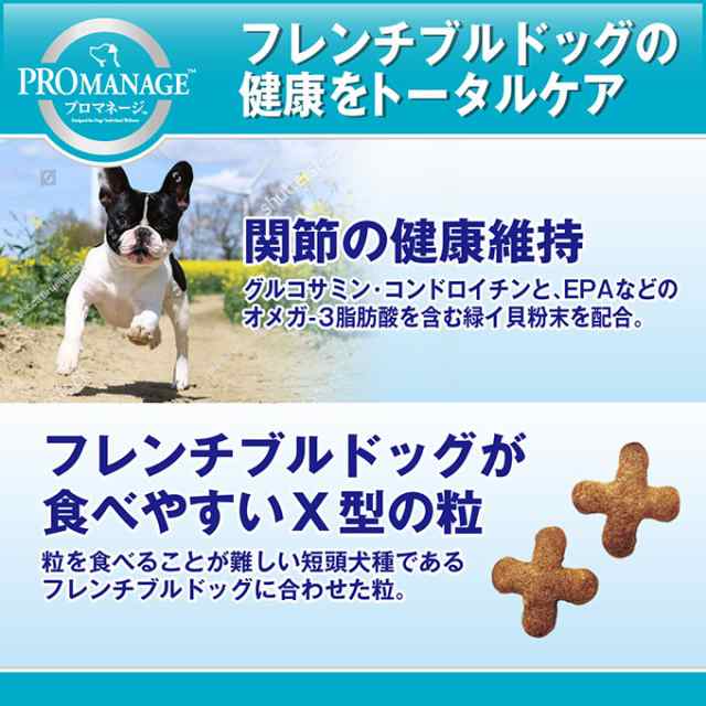 プロマネージ ドッグフード 成犬用 ミニチュアシュナウザー専用 1.7