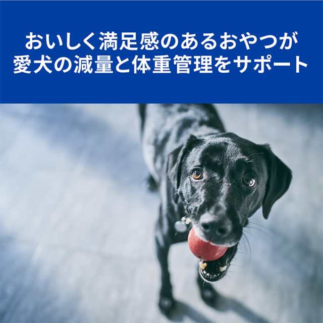 おやつ ドッグフード ヒルズ プリスクリプション ダイエット メタボリックス ビスケット 犬用 80g 療法食 オヤツ 間食 クッキー 成犬の通販はau Pay マーケット ペッツビレッジクロス