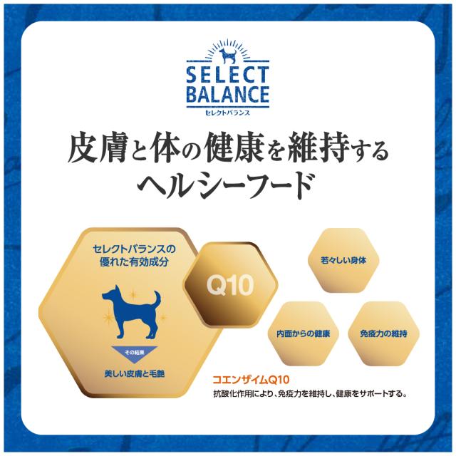 セレクトバランス アダルト 成犬用 ラム 小粒 7kg セレクトバランス