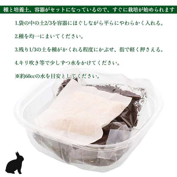 アドメイト ラパン うさぎサラダ エン麦 栽培キット ウサギ うさぎ ラビット フード 餌 ごはん 草 新鮮野菜 小動物 うさぎ用品 の通販はau Pay マーケット ペッツビレッジクロス