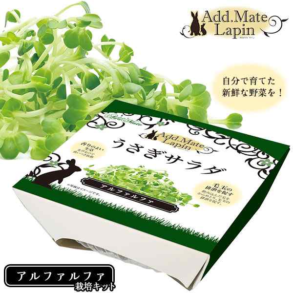 アドメイト ラパン うさぎサラダ アルファルファ 栽培キット ウサギ うさぎ ラビット フード 餌 ごはん 草 新鮮野菜 小動物 うの通販はau Pay マーケット ペッツビレッジクロス