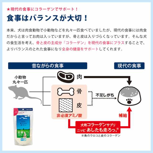 ニッピ あしたも走ろっ お試しセット 5kgの犬 約1ヶ月分 定量容器つき 犬 サプリメント コラーゲン 栄養補助食品 ドッグ 粉末 パの通販はau Pay マーケット ペッツビレッジクロス