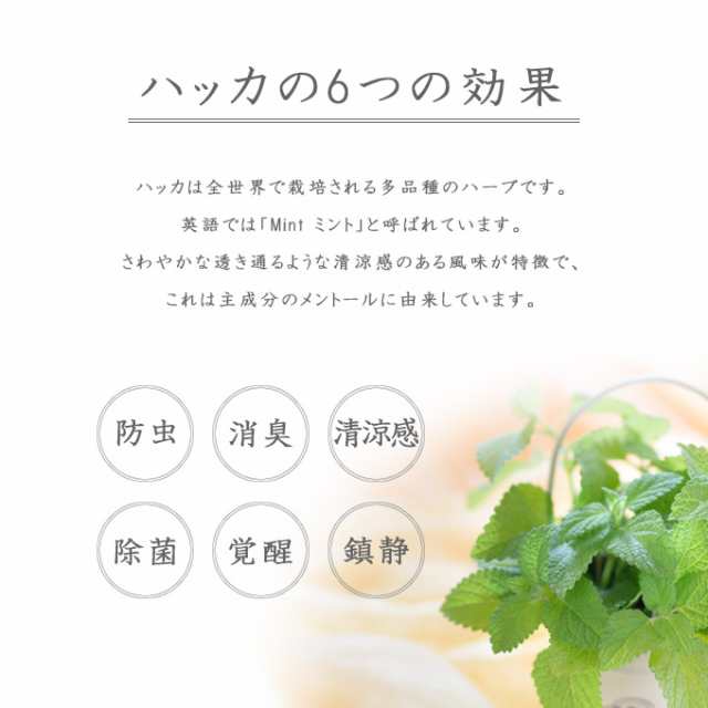 Hakka Care アウトドアスプレー 2本 ハッカ ケア 薄荷 虫除け スプレータイプ 防虫 対策 忌避 お出かけ お散歩 犬 ドッグ ペット グの通販はau Pay マーケット ペッツビレッジクロス