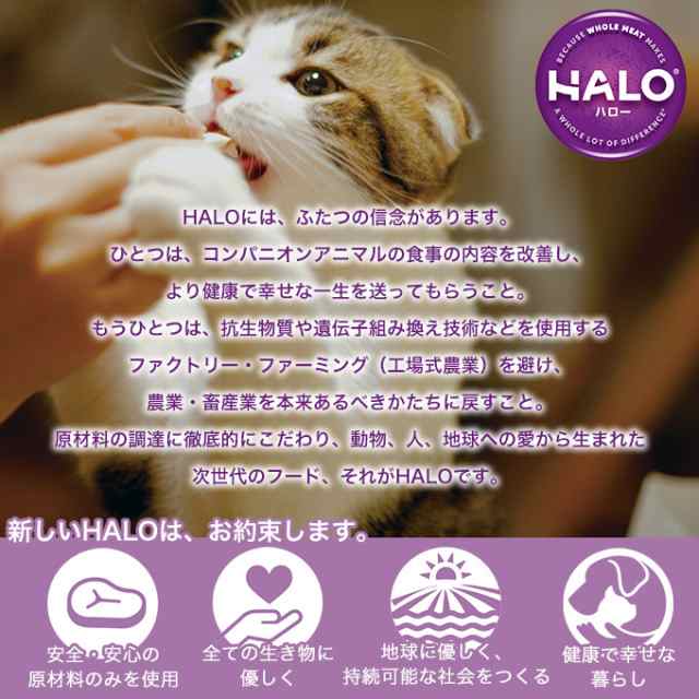 キャットフード Halo Cat カロリーオフ 成猫の体重管理 平飼いチキン グレインフリー 1 6kg 3個 ハロー 成猫用アダルトライト 穀の通販はau Pay マーケット ペッツビレッジクロス