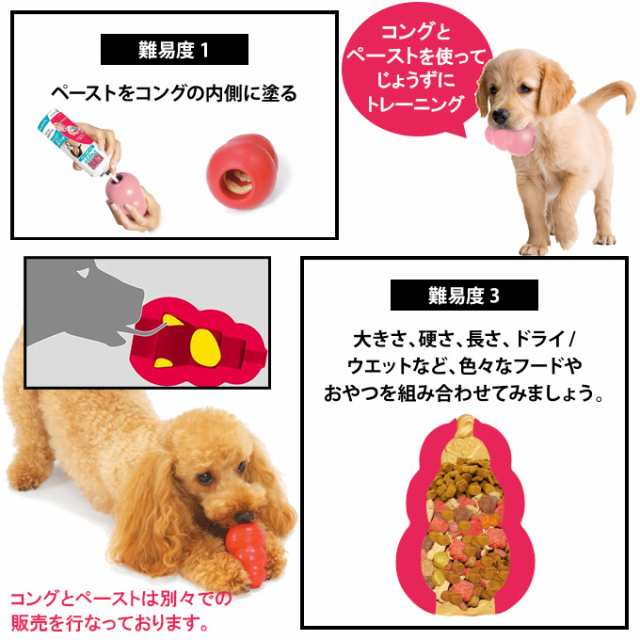 犬用おやつ コングジャパン コングチューブペースト ヨーグルト 140g ドッグフード しつけトレーニング ペースト Kongの通販はau Wowma ペッツビレッジクロス