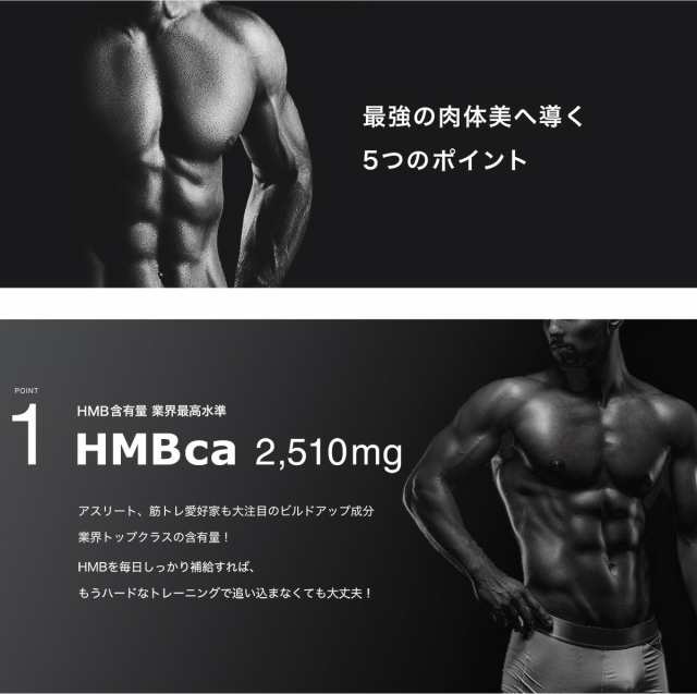 純正買蔵 HMB プレミアムマッスルボディア 270粒 &GINO BCAA 2袋 - その他