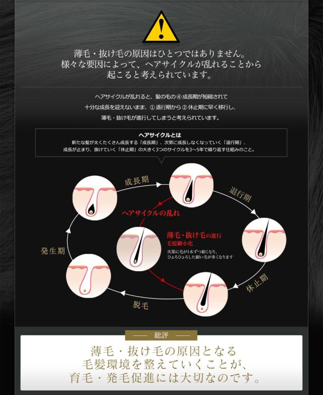 プレミアムグローパワー 育毛剤 発毛剤 育毛トニック 養毛剤 薄毛
