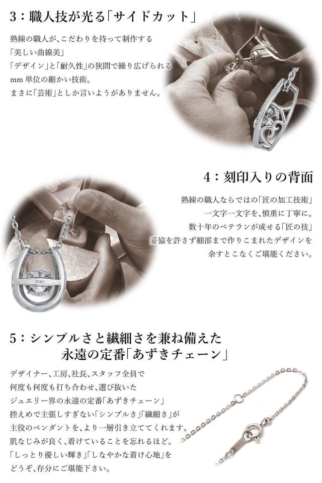 【WEB限定】ダンシングストーン ネックレス レディース  大粒 1.0ct 金属アレルギー対応 アレルギーフリー 医療用 サージカルステンレス 316L ダンシングストーンネックレス 1カラット 1ct あずき チェーン 馬蹄 ZST1CT-002 ブランド 人気_6