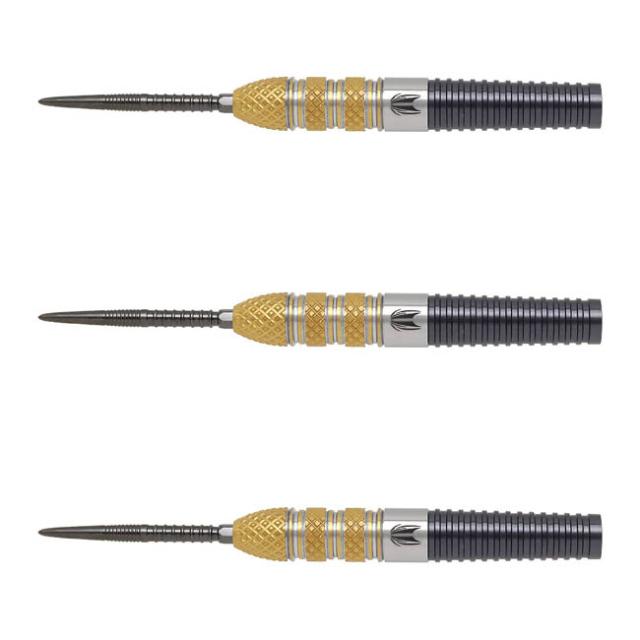 【送料無料】TARGET RVB G4 SWISS POINT STEEL 21g ＜190128＞ レイモンド・ヴァン・バーナベルド選手モデル