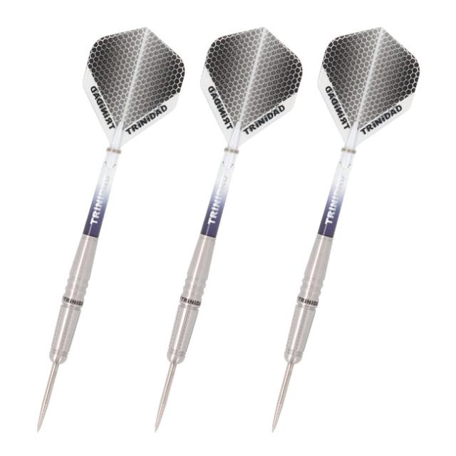 ダーツ TRINIDAD LOCCHE TYPE 3 送料無料】TRiNiDAD PRO LOCCHE Type3 STEEL 國木裕介選手モデル