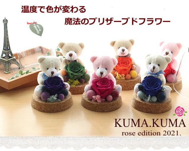 温度で色が変わる！プリザーブドフラワーアジサイ 黒ネコガラスドーム