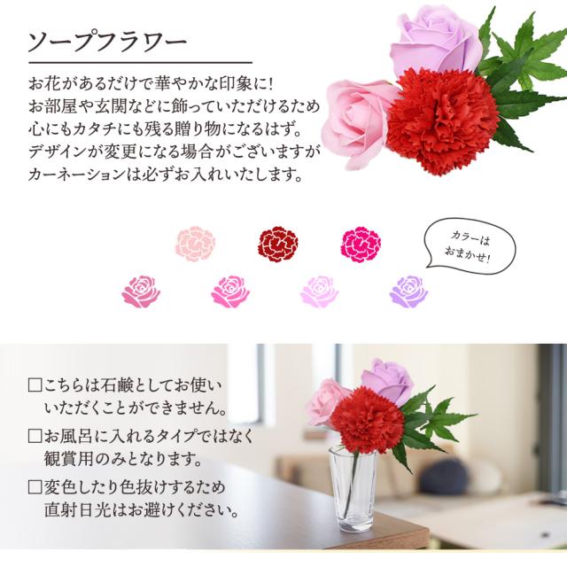 【早割中!】母の日 フルーツギフト フルーツ 果物 盛り合わせ 詰め合わせ りんご マンゴー さくらんぼ 小玉スイカ ピノガール 花 フラワー ソープフラワー カーネーション バラ セット ギフト 贈答 プレゼント 贈り物 お祝い 御祝 記念日 誕生日 お供え[母の日フルーツ盛りF]