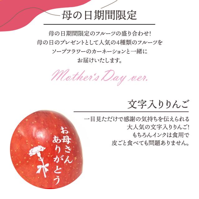 【早割中!】母の日 フルーツギフト フルーツ 果物 盛り合わせ 詰め合わせ りんご マンゴー さくらんぼ 小玉スイカ ピノガール 花 フラワー ソープフラワー カーネーション バラ セット ギフト 贈答 プレゼント 贈り物 お祝い 御祝 記念日 誕生日 お供え[母の日フルーツ盛りF]