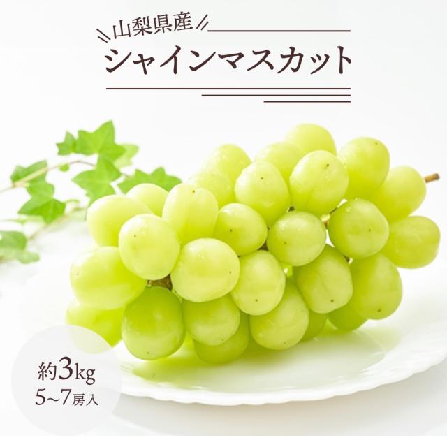 シャインマスカット マスカット ぶどう ブドウ 葡萄 約3kg 5~7房 山梨 果物 果実 フルーツ ケース販売 ご自宅用 ご家庭用【BO】[シャインマスカット約3kg（5〜7房）]