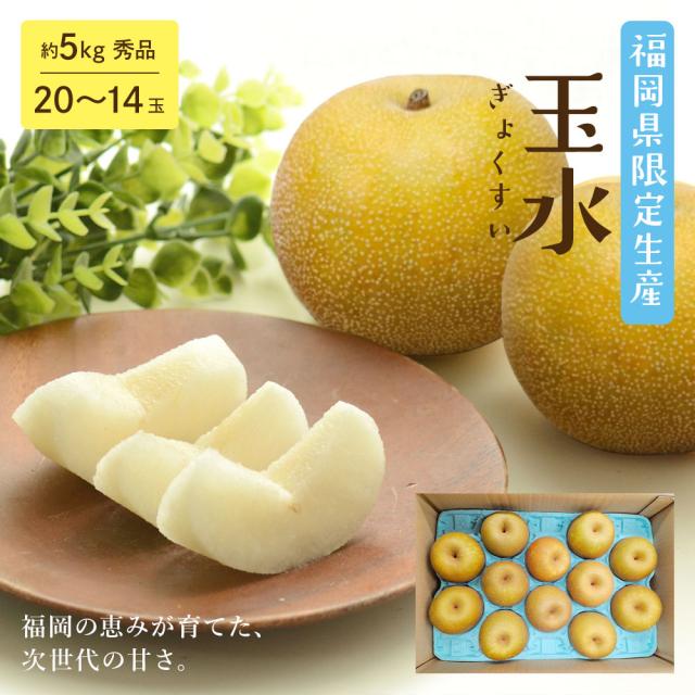 8月上旬より発送 玉水梨 ケース 箱売り 梨 福岡県産 限定 新品種 幸水 選べる内容量 5kg 20-14玉 ご家庭用 ご自宅用 でも中身は秀品 送料無料 和梨 なし ナシ フルーツ 果実 果物 夏 お取り寄せ [玉水梨 約5kg(20-14玉)]【BO】