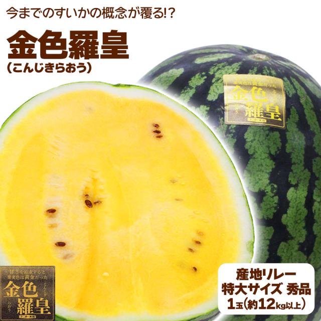 超特大 すいか 大玉 金色羅皇 こんじきらおう すいか 熊本 和歌山 鳥取県産 1玉 約 12kg以上 黄色すいか クリームすいか 金色羅王 スイカ 西瓜 ギフト プレゼント 贈答 お供え お祝い お盆明け 【BO】 [金色羅皇 超特大]