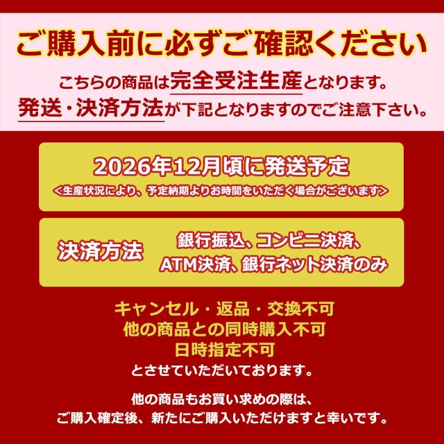 【商品レビューで＋5％】【2027年度 受注生産商品 6月末まで受付】トンボかきかたえんぴつプレゼント 【正規品6年保証】 キッズアミ ランドセル 男の子 KIDS AMI クラリーノエフ アメコミヒーロー SPC-01_19