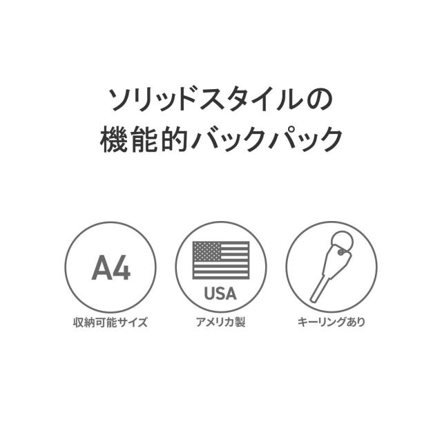 【商品レビューで＋5％】【日本正規品】ブリーフィング リュック シンプル 黒 BRIEFING A4 21.4L DELTA ALPHA PACK M SQD BRA231P37