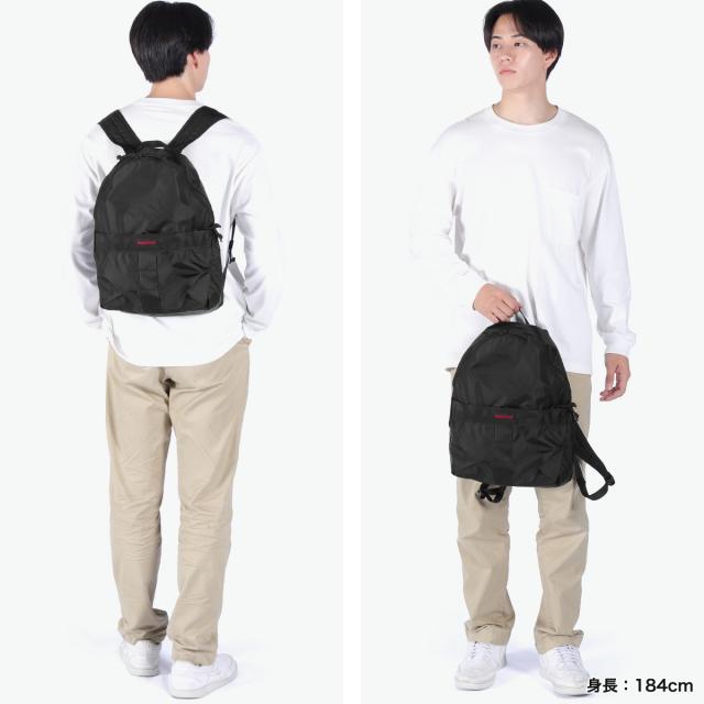 【商品レビューで＋5％】【日本正規品】 ブリーフィング リュック メンズ レディース デイパック BRIEFING ブランド 大人 シンプル 折りたたみ バックパック 軽量 軽い A4 16.9L ナイロン SOLID LIGHT PACKABLE DAY PACK RC BRA253P28