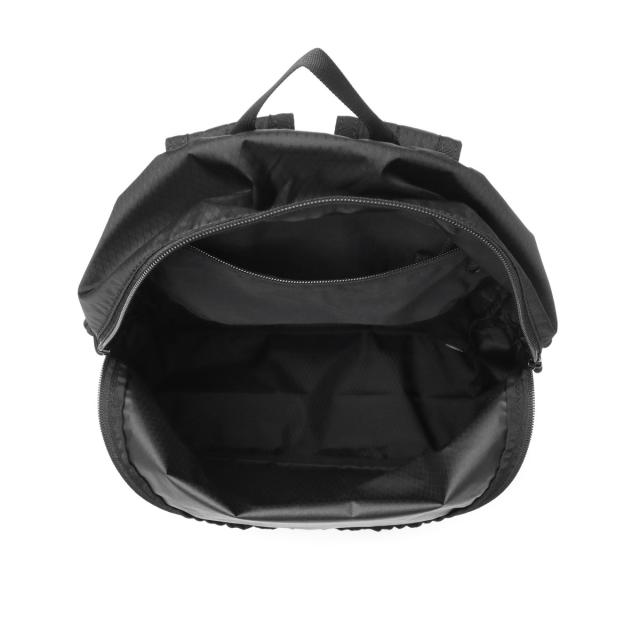 【商品レビューで＋5％】【日本正規品】 ブリーフィング リュック メンズ レディース デイパック BRIEFING ブランド 大人 シンプル 折りたたみ バックパック 軽量 軽い A4 16.9L ナイロン SOLID LIGHT PACKABLE DAY PACK RC BRA253P28