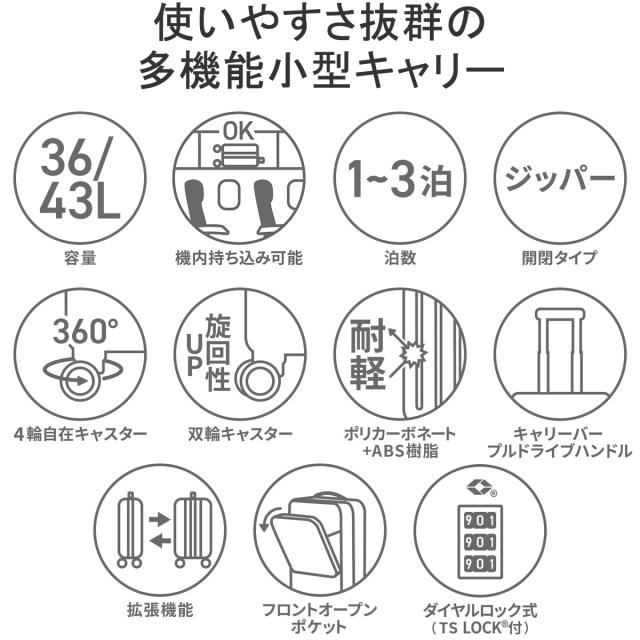 【商品レビューで＋5％】ヘム スーツケース キャリーケース S Sサイズ 機内持ち込み HeM 軽量 かわいい 可愛い TSA リム 39-50600