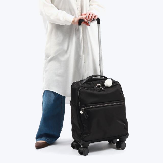 5％OFFクーポン】【商品レビューで＋5％】カナナプロジェクト キャリー