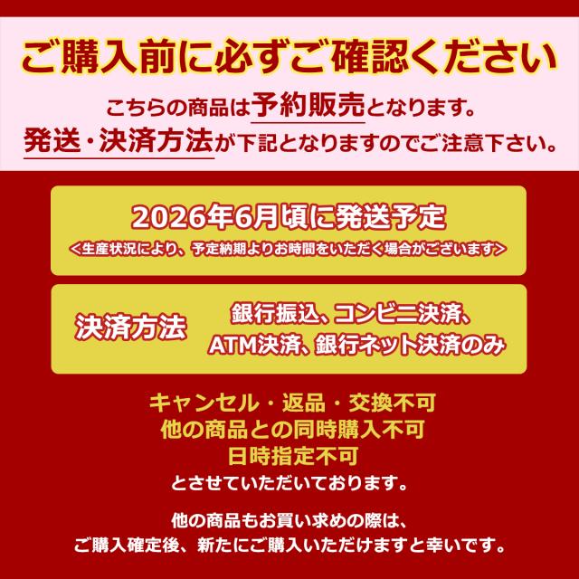 【商品レビューで＋5％】【予約販売】 トンボかきかたえんぴつプレゼント 【6年保証】ナイキ ランドセル NIKE ランドセル 男の子 2026年モデル キューブ型 A4フラットファイル コンビカラー 軽量 日本製 HC20261_19