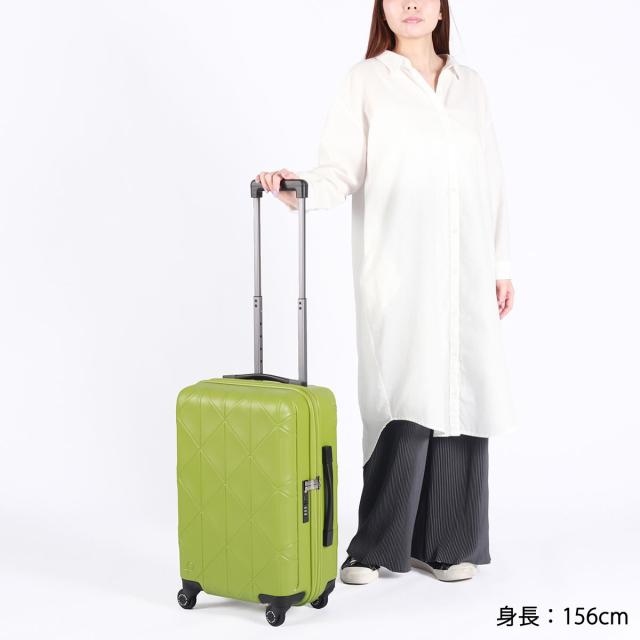 商品レビューで＋5％】もれなく手ぬぐいプレゼント【正規品10年保証