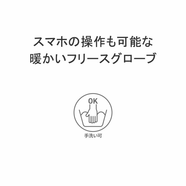 商品レビューで＋5％】【日本正規品】ザ・ノース・フェイス 手袋