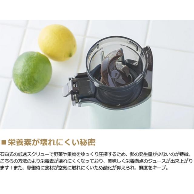 最大30%還元★5/3限定｜【商品レビューで＋5％】【商品レビューで特典プレゼント】【正規品1年保証】Toffy スロージューサー トフィー LADONNA K-BD4_4