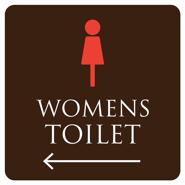 27cm 27cm トイレ 御手洗 Toilet ブラウン カラー Womens 女性マーク ピクトサイン シール カッティングシート ステッカー タイプcの通販はau Pay マーケット ｍｕｓｅ ｃｏｍ