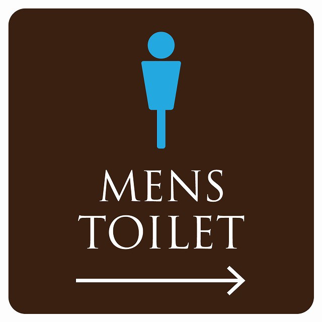 送料無料！14cm×14cm トイレ 御手洗 TOILET ブラウン＆カラー MENS 男性マーク ピクトサイン シール カッティングシート  ステッカー タ｜au PAY マーケット