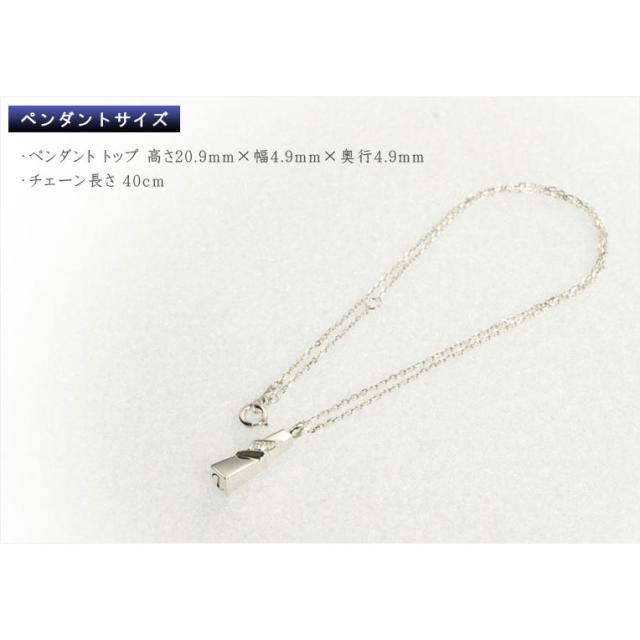 洗練されたベーシックデザイン【ソウルジュエリー:Patina(パティーナ)　ノーブル 純銀製】遺骨ペンダント メモリアルペンダント ジュエリー　手元供養　遺骨・お骨　仏具　送料無料