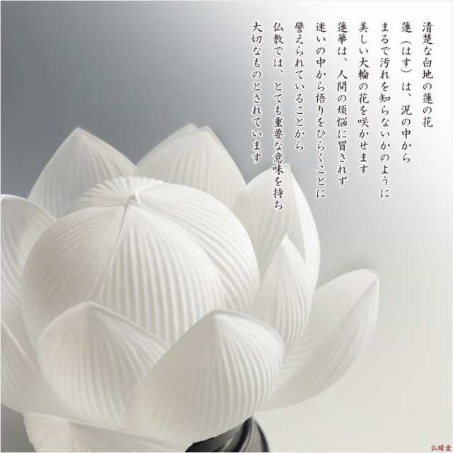 国産盆提灯【霊前灯・蓮華灯（常華）：澄白（すみしろ）一対（2