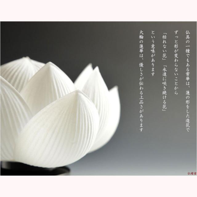 国産盆提灯【霊前灯・蓮華灯（常華）：澄白（すみしろ）一対（2