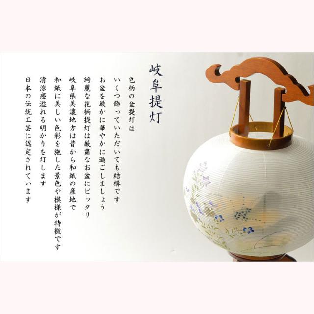 特選　お盆提灯【岐阜提灯：天然木・民芸調塗り 本絹二重張り　電球灯　遠山ぼかし　白芙蓉に秋草　11号】盆ちょうちん　行灯　盆用品　お盆飾り　新盆　初盆　送料無料