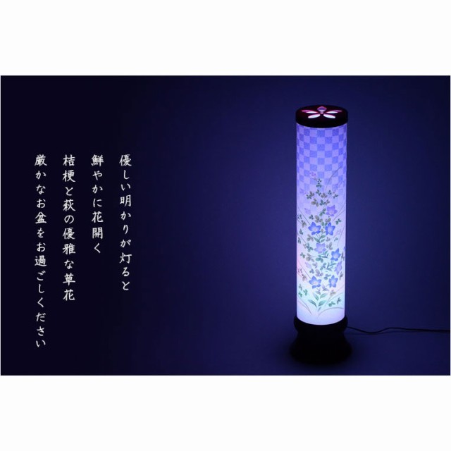 お盆提灯【最新高輝度LED採用・天井にも花咲く：テルミナ虹光（こう