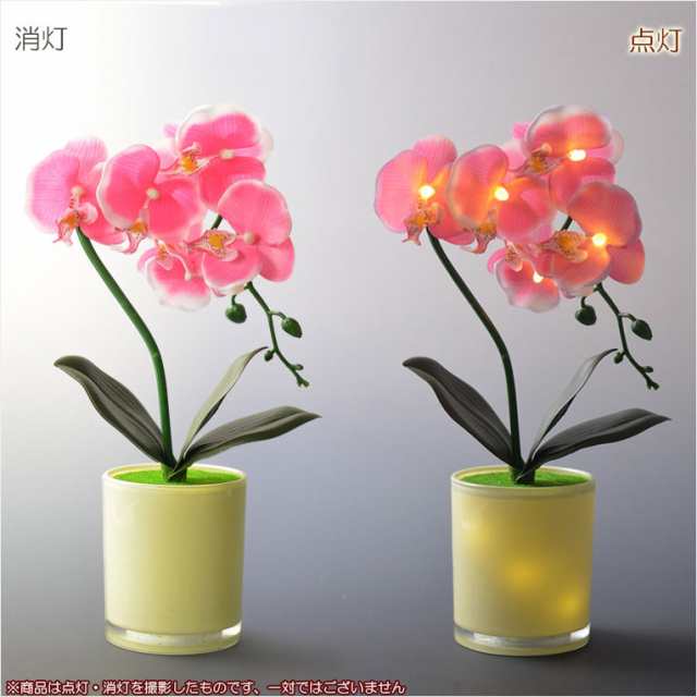 仏花【胡蝶蘭と花器が光るLEDライト シンシア：胡蝶蘭 ピンク】新盆 初盆 お盆用品 盆提灯 盆花 仏壇用仏具 送料無料の通販はau PAY  マーケット - 仏壇仏具の仏縁堂 | au PAY マーケット－通販サイト