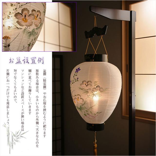 盆提灯・仏縁堂セレクト【八女提灯：御所提灯　軽量仕様　本絹一重張り10号・白芙蓉桔梗　プルスイッチ式LED電池ローソク灯】送料無料　吊り提灯　壷型　盆ちょうちん　行灯　盆用品　新盆　初盆　色柄提灯　花柄提灯　迎え火　送り火