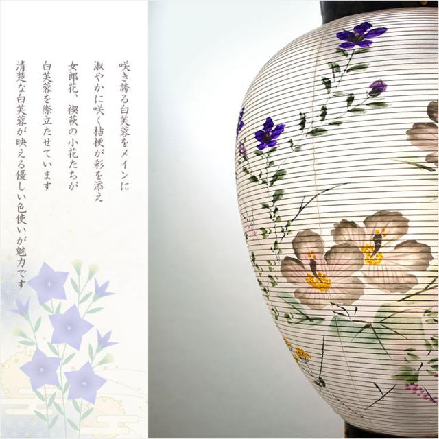盆提灯・仏縁堂セレクト【八女提灯：御所提灯　軽量仕様　本絹一重張り10号・白芙蓉桔梗　プルスイッチ式LED電池ローソク灯】送料無料　吊り提灯　壷型　盆ちょうちん　行灯　盆用品　新盆　初盆　色柄提灯　花柄提灯　迎え火　送り火