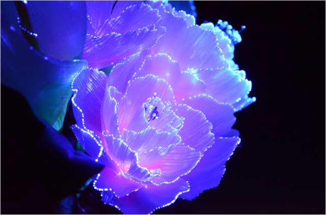 光ファイバー使用の光る仏花【7色に変化する煌めくお花 テルミナ