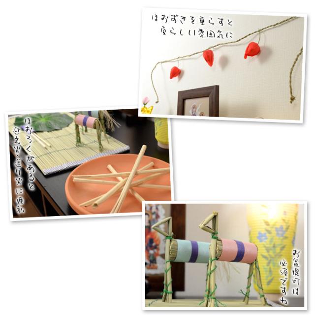 お盆用品 格安 真菰 まこも セット 6点入り普及タイプ お盆 新盆 初盆 盆棚 精霊棚 お盆飾りの通販はau Pay マーケット 仏壇仏具の仏縁堂