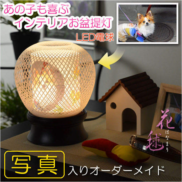 お盆用品【ペット用インテリアお盆提灯：花毬（はなまり）省エネLED電球】ペットメモリアル・ペット用品・新盆・初盆　送料無料