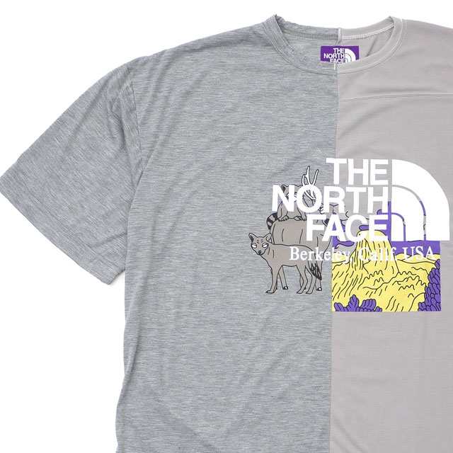 the north face purple label tee