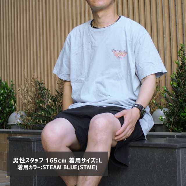 新品 パタゴニア Patagonia Ms GPIW LOGO ORGANIC Tee グレート