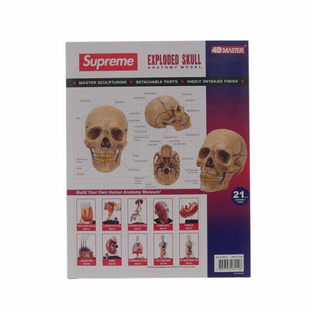 新品 シュプリーム SUPREME 4D Model Human Skull スカル 立体パズル